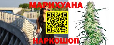 сатива Балаково