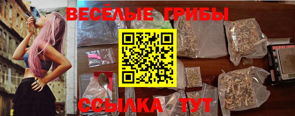 купить закладку  Вход с VPN  Дзержинский  Псилоцибиновые грибы прущие грибы 